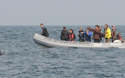 Les premières observations de l’année