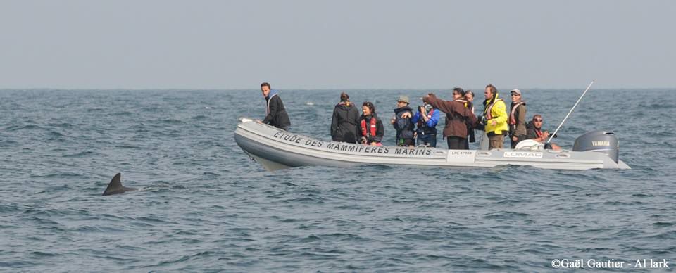 Les premières observations de l&rsquo;année