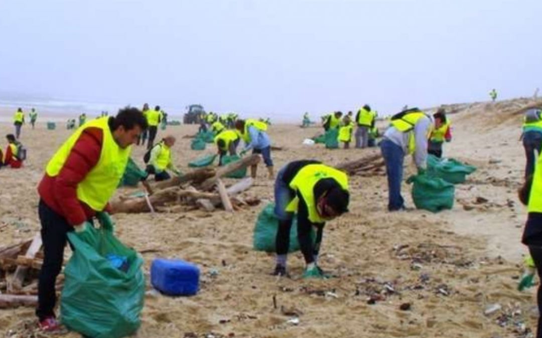 St Malo Magazine 15/01/25: Titre 1