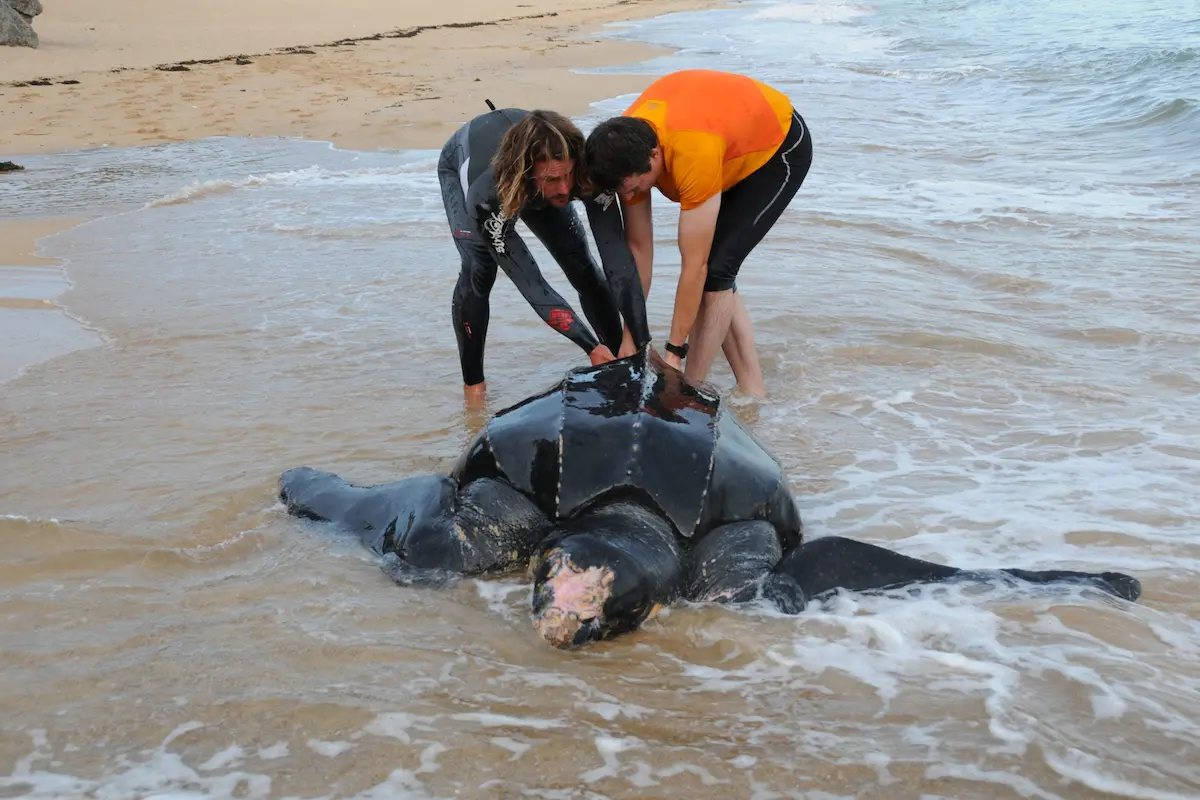 ALA_4587-scaled_1200x800