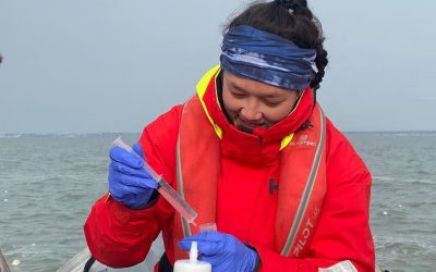 L&rsquo;Actu. scientifique: Sortie ADNe