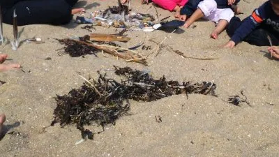 Samedi 21/03/2026 – Le monde caché des herbiers marins