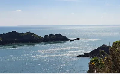 Samedi 11/07/2026 – Présentation des mammifères marins et stand d&rsquo;observation